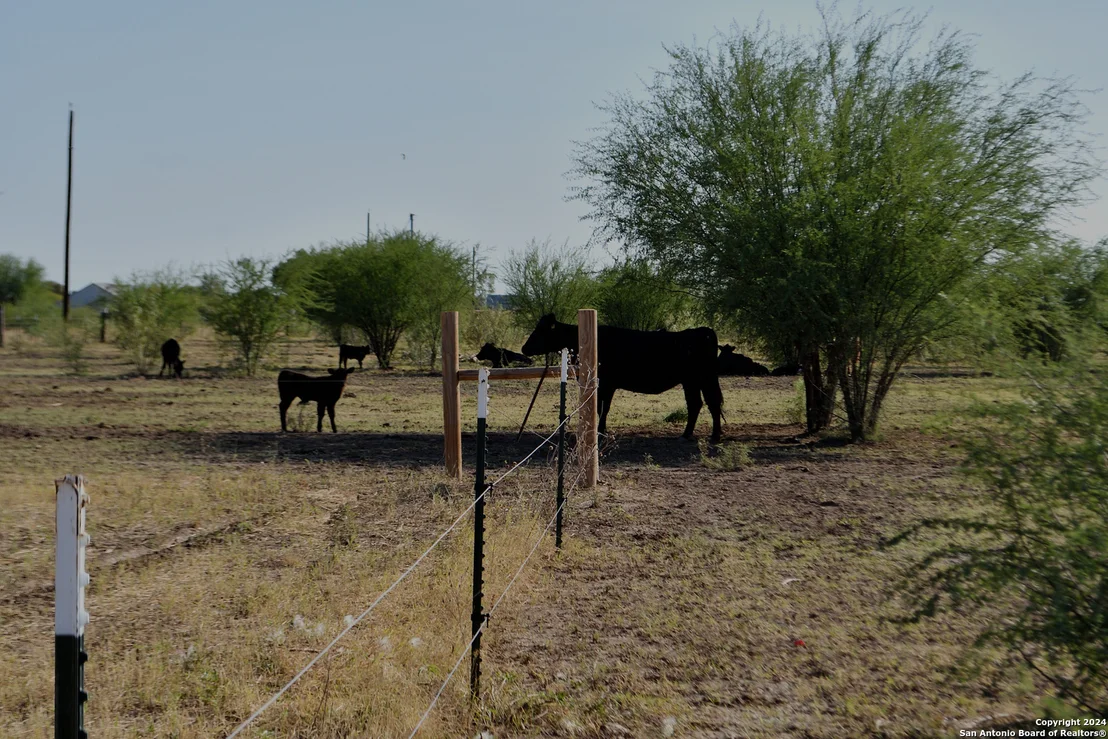 Photo of 3211 CR 301