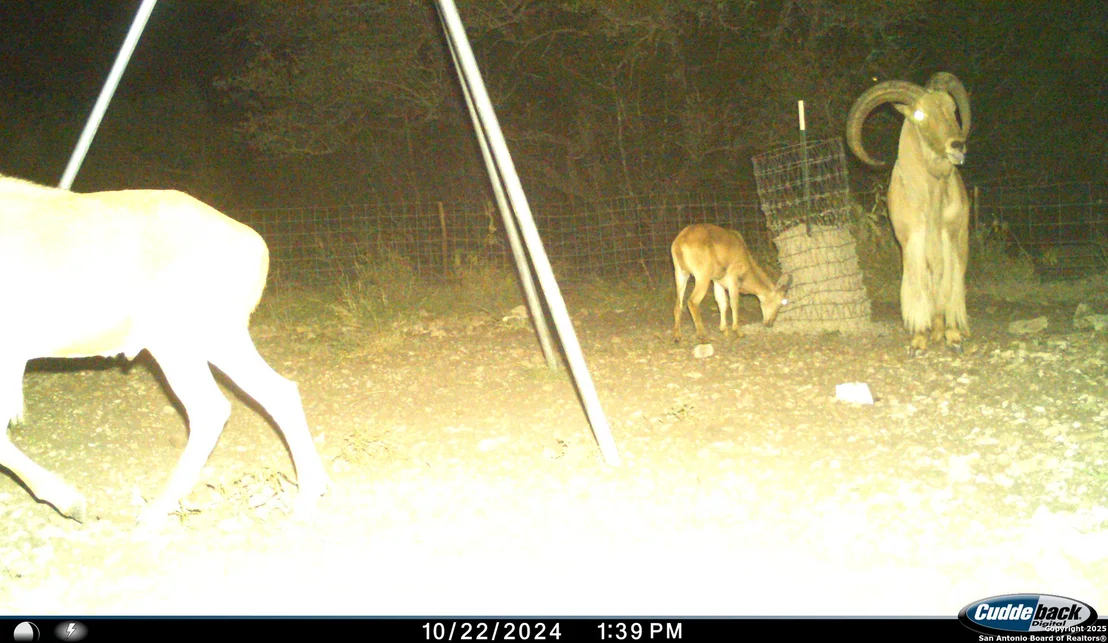 Photo of TBD Mailtrail Rd
