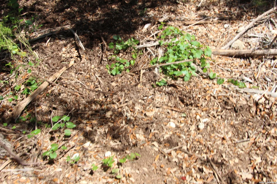 Photo of LOT 52 Clear Water Cyn