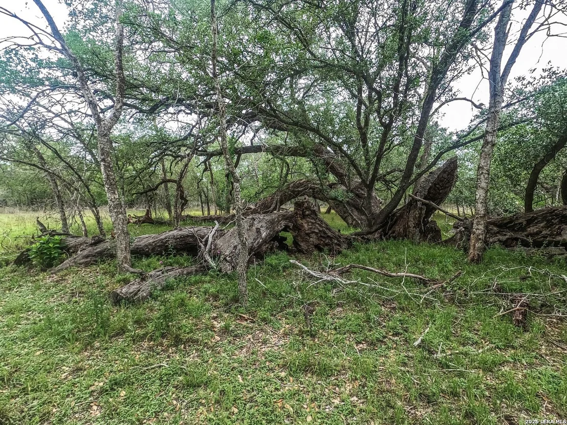 Photo of 8933 County Road 401