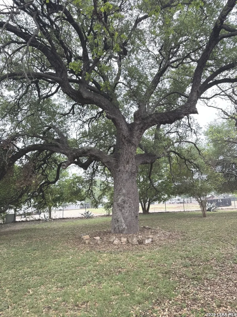 Photo of 265 County Road 5227