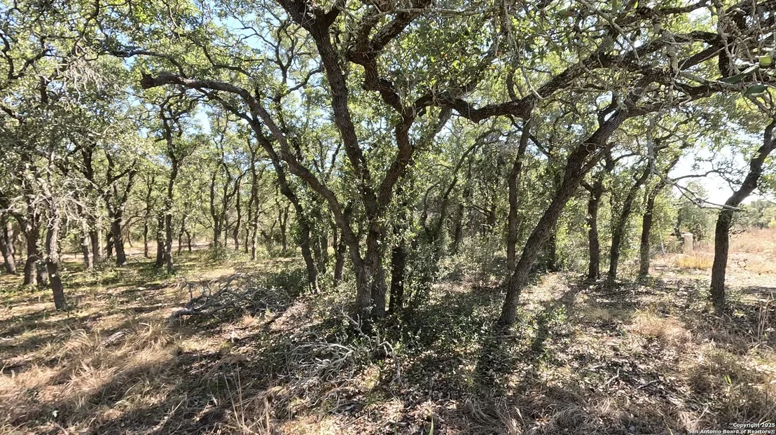 Photo of 34672 Ansley Ridge
