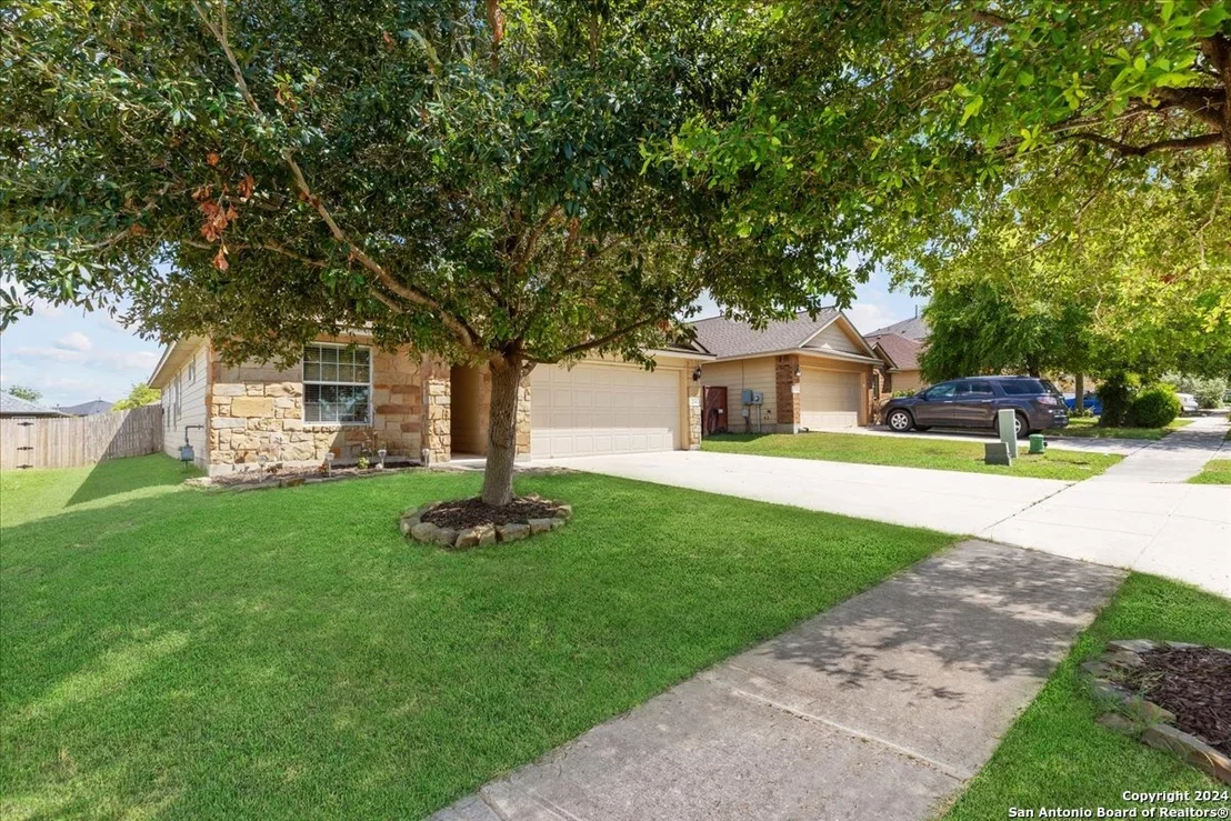 Photo of 234 Wild Plum