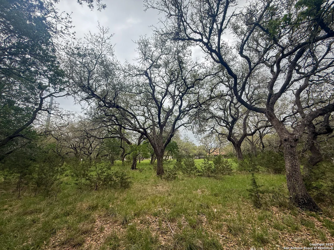 Photo of 23407 Osceola Bluff