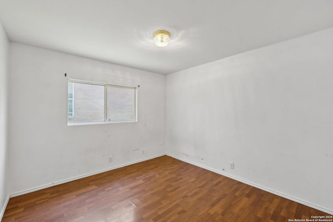 Photo of 284 Texas Mulberry
