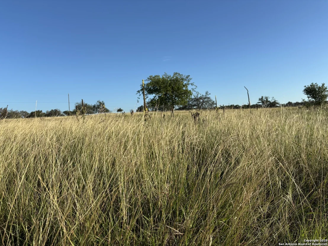 Photo of 183 Lipan Loop