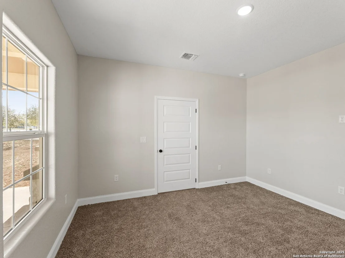 Photo of 52 Peach Tree