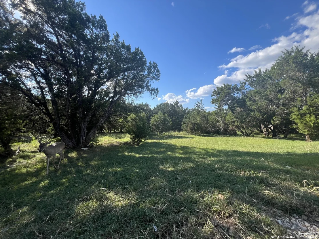 Photo of 210 Deer Run Pass