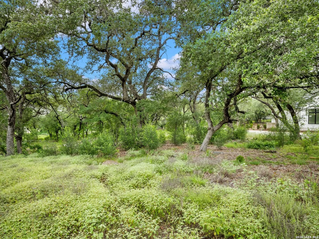 Photo of 11 Viewpark