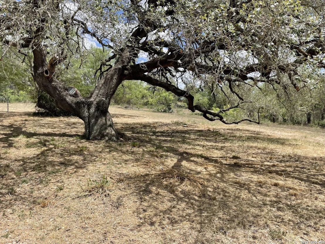 Photo of 163 CR 2644