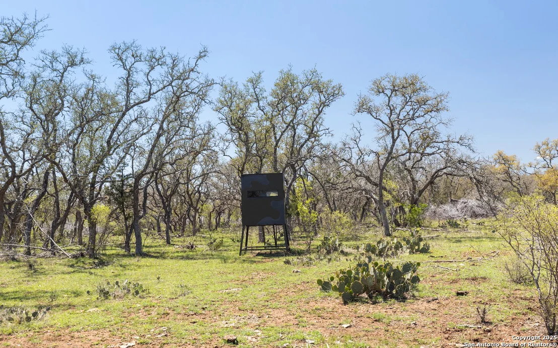 Photo of 1974 PR 3214
