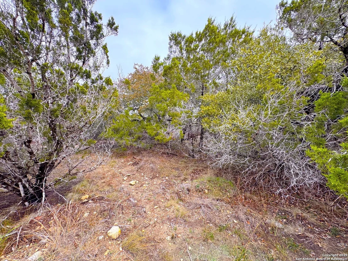 Photo of 0 Contour Dr