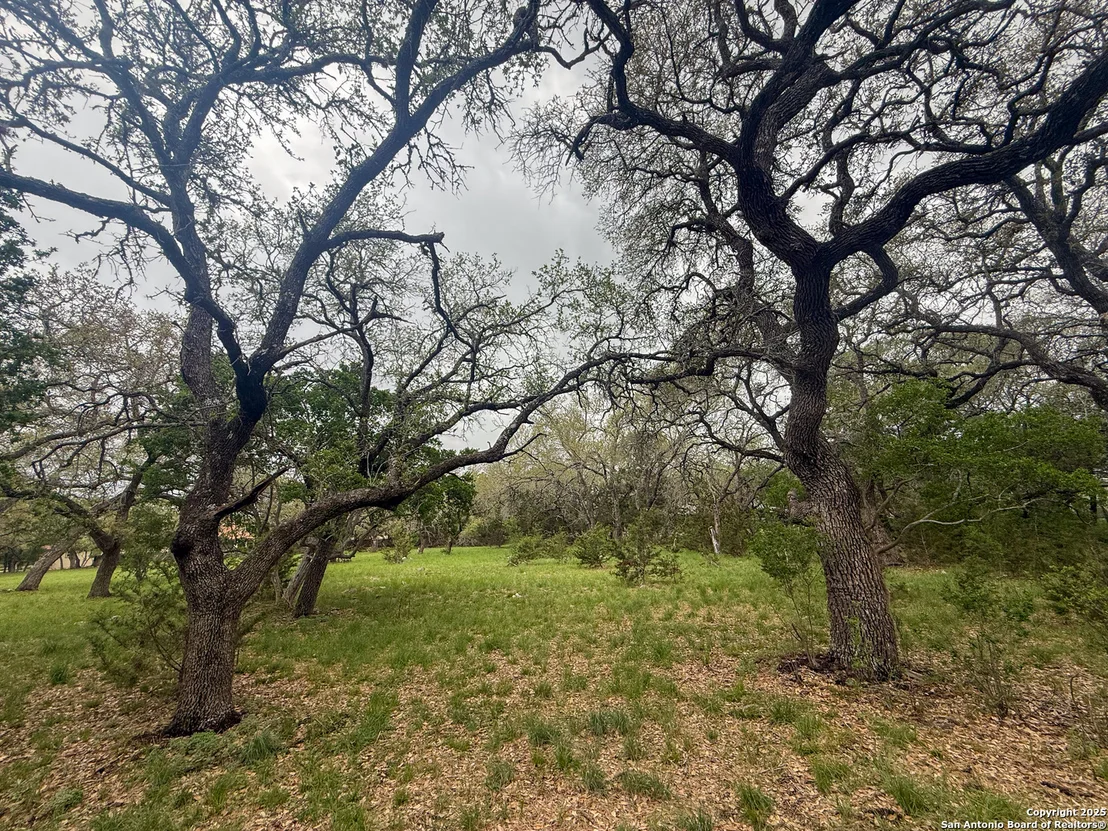 Photo of 23407 Osceola Bluff