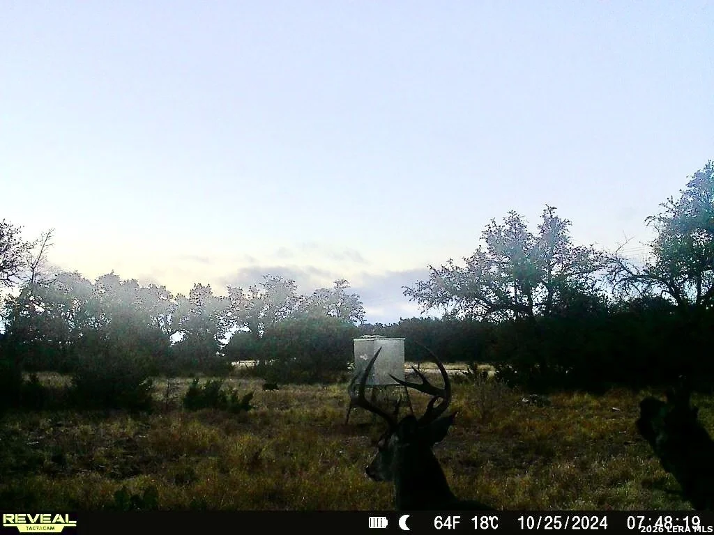 Photo of 07 E Bison Way