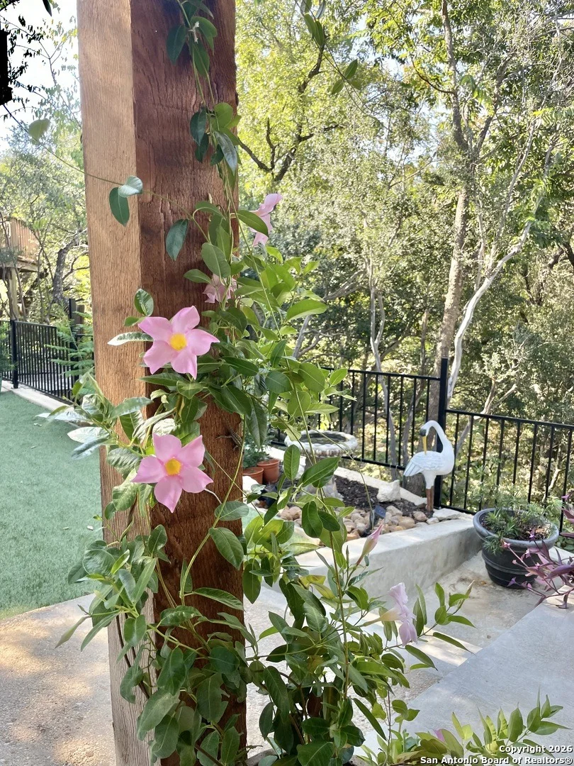 Photo of 29607 Terra Bella
