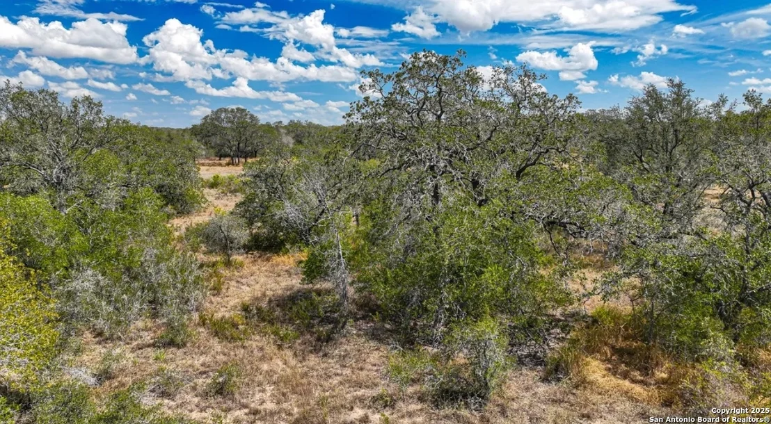 Photo of 205 Trophy Lane