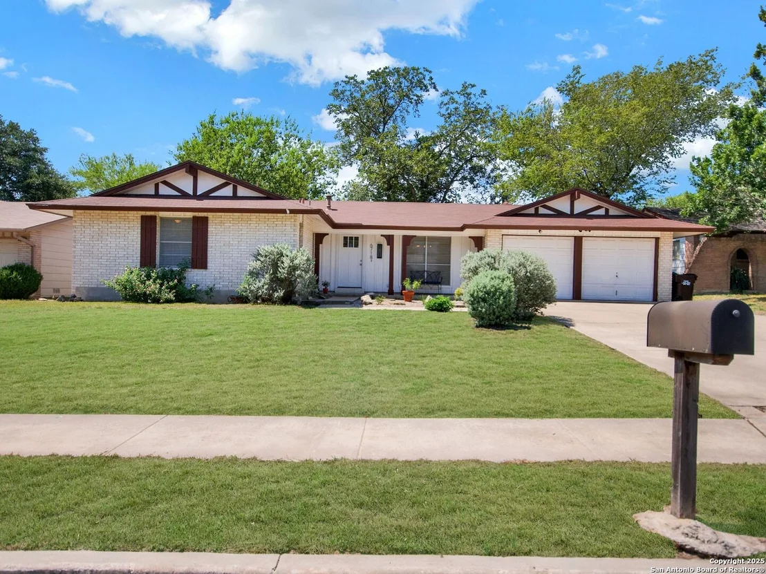 Photo of 6718 Straw Flower