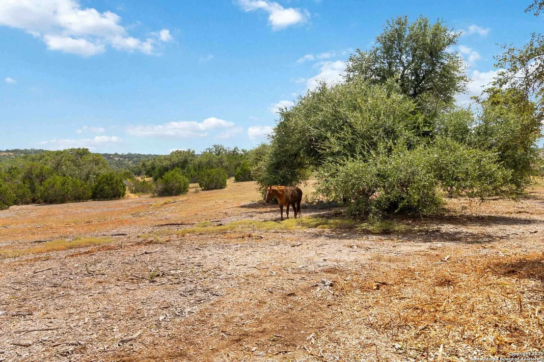 Photo of 1012 Rivers Peak