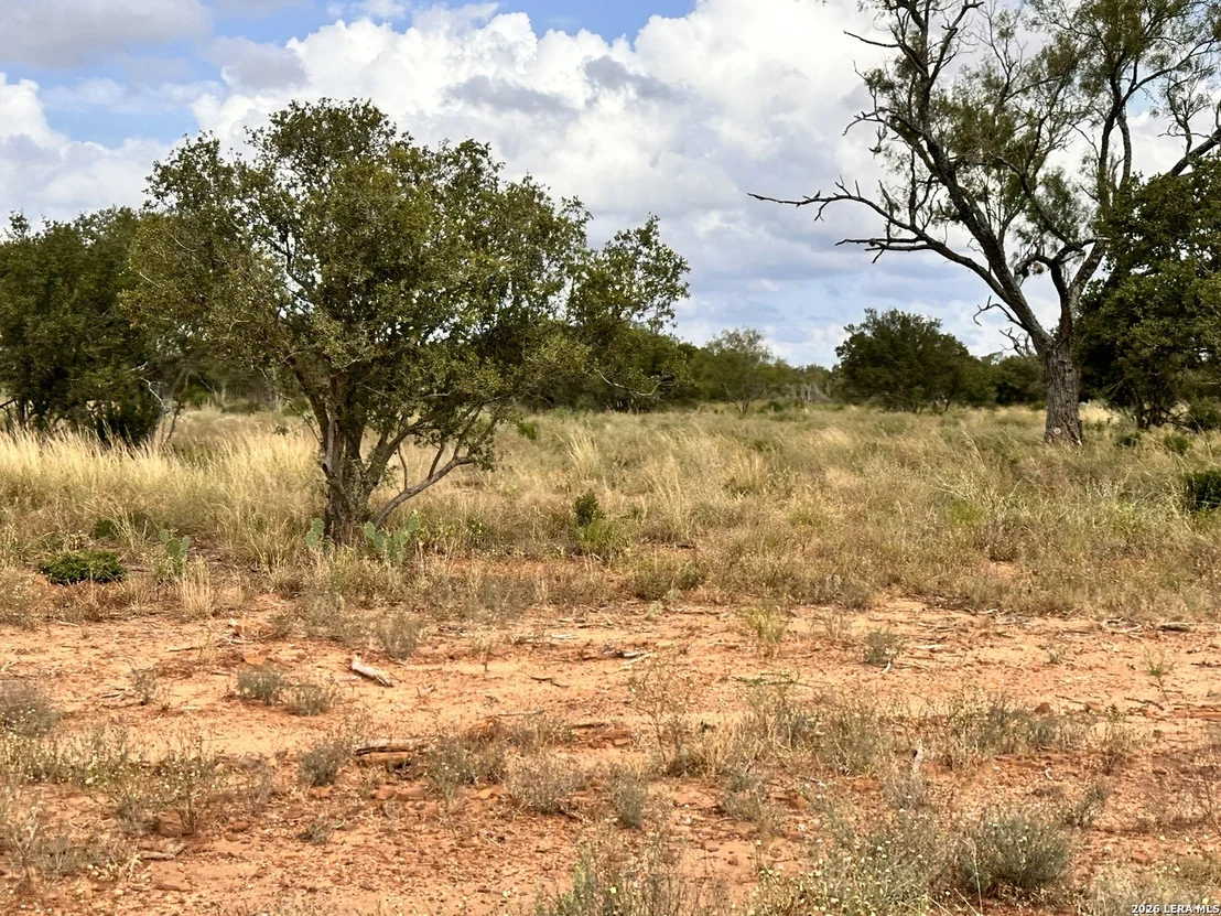 Photo of 163 CR 2644