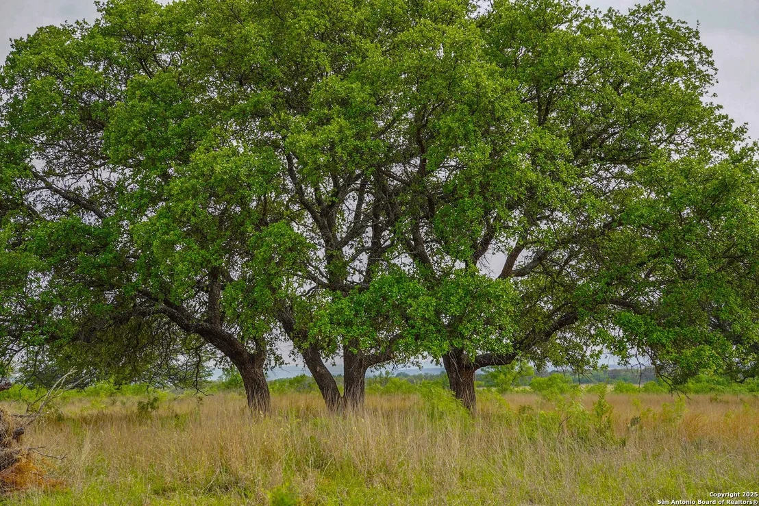 Photo of TBD CR 333