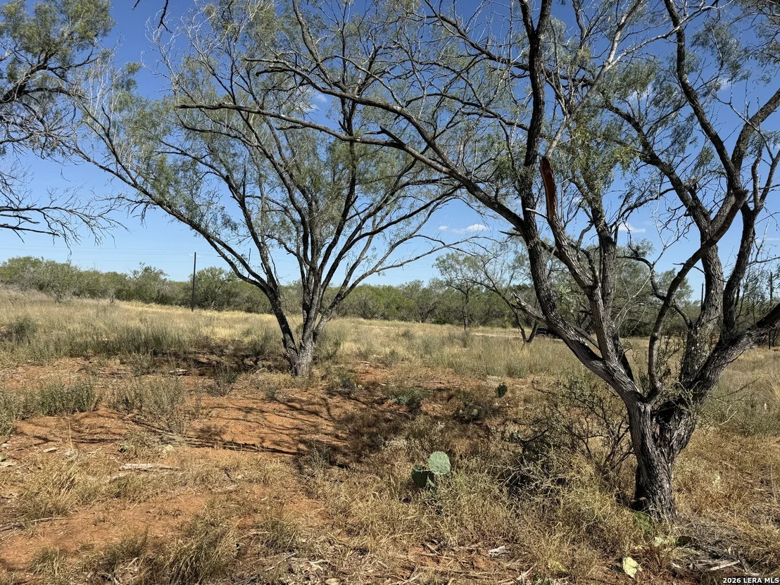 Photo of 161 CR 2644
