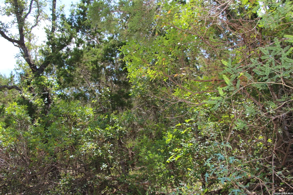 Photo of LOT 52 Clear Water Cyn