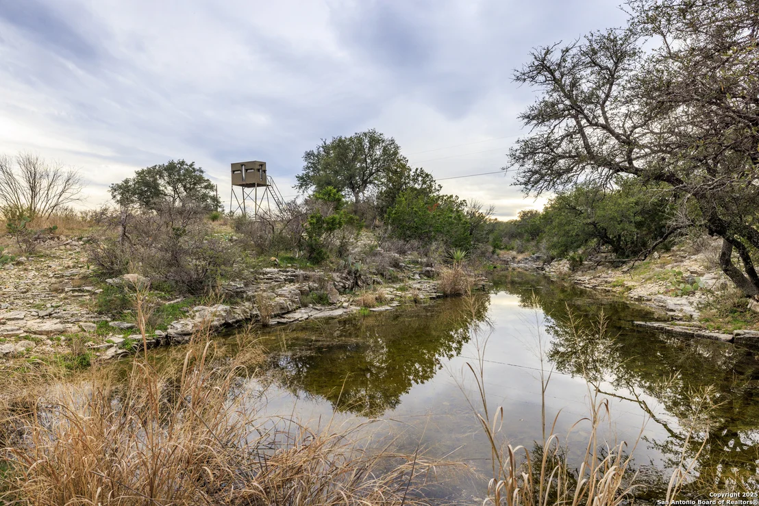 Photo of 256 Persimmon Point