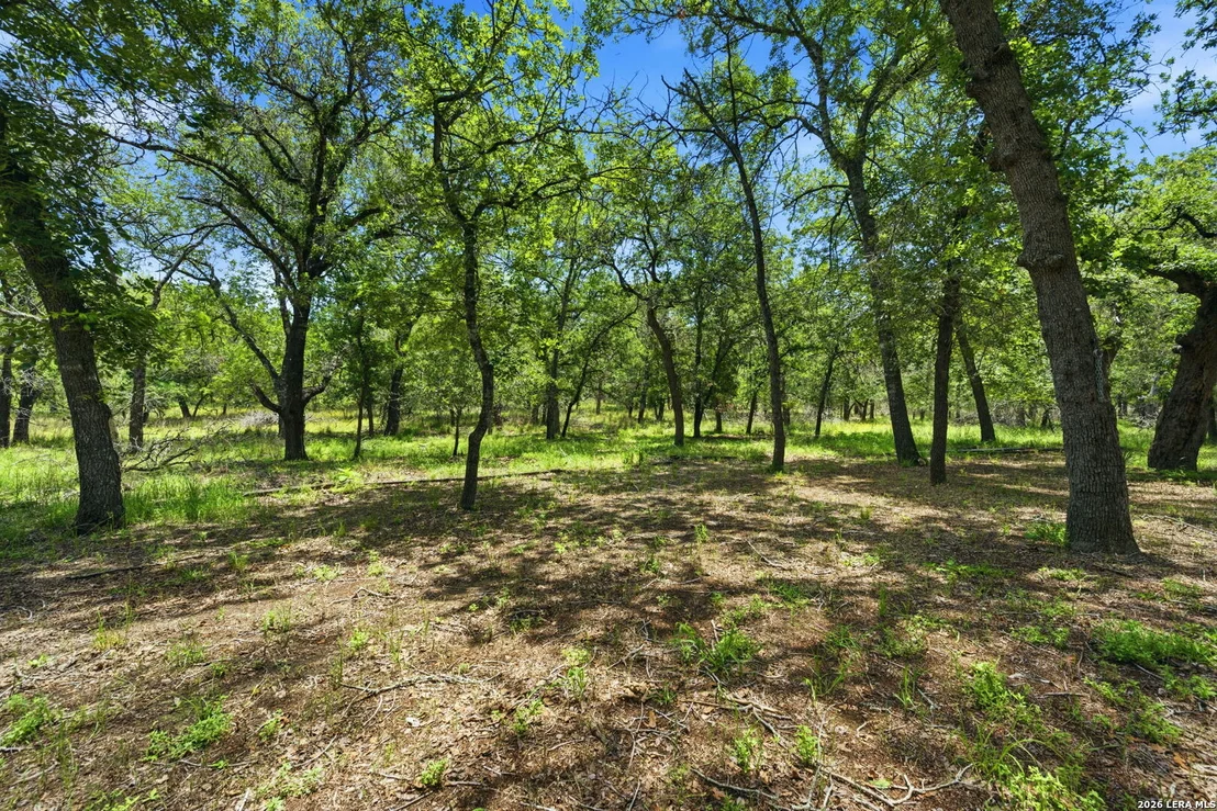 Photo of 216 OAK GRV