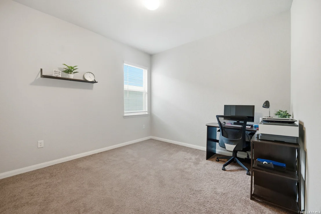 Photo of 6846 Hibiscus