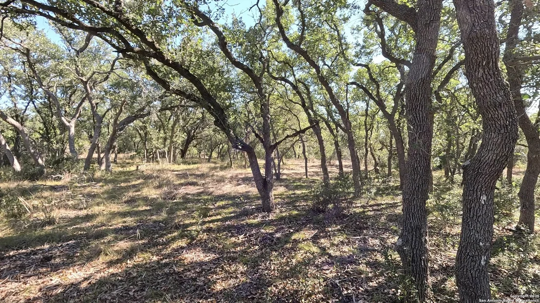 Photo of 34672 Ansley Ridge