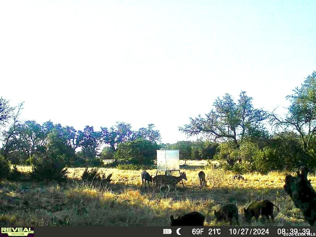 Photo of 07 E Bison Way