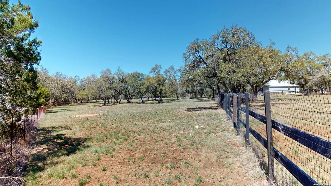 Photo of 795 Persimmon