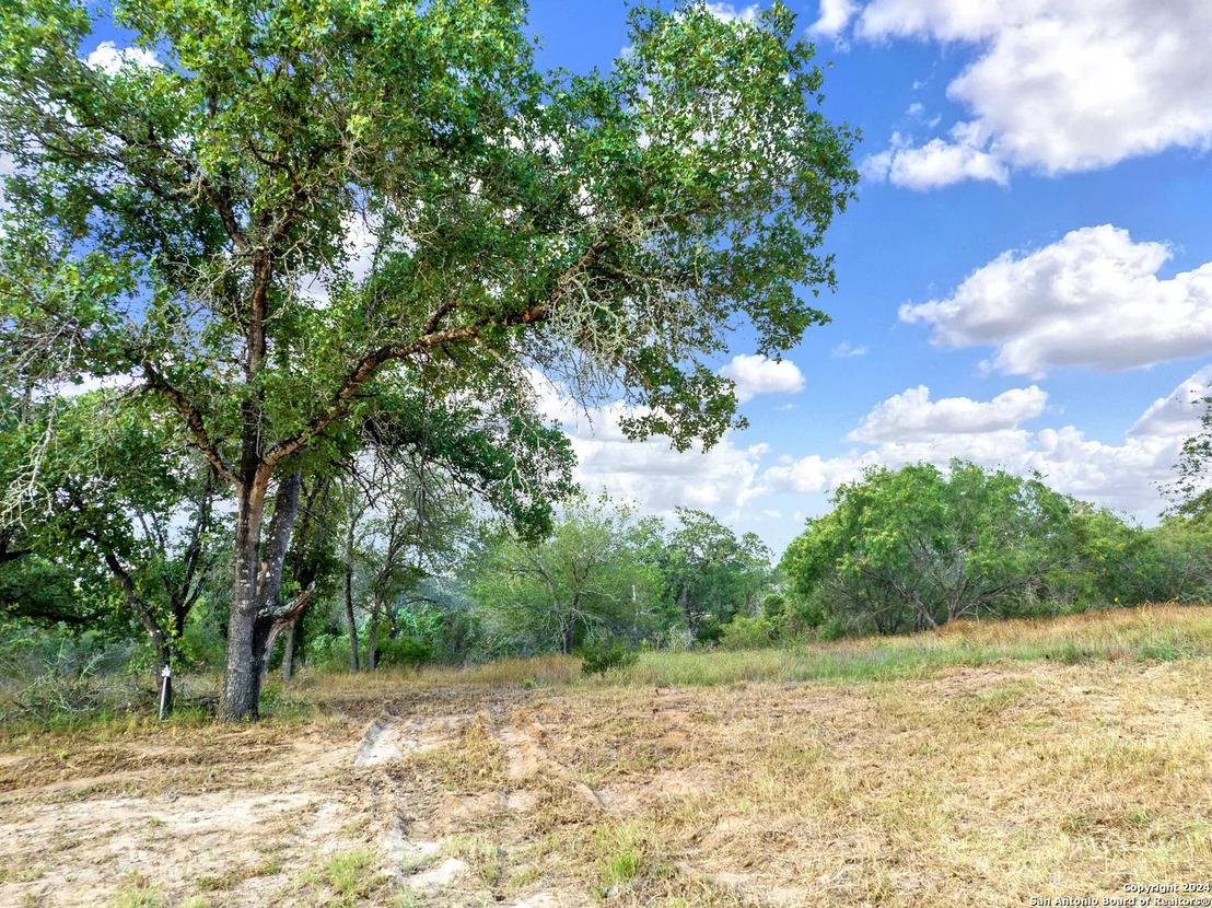 Photo of 250 TIMBER PL