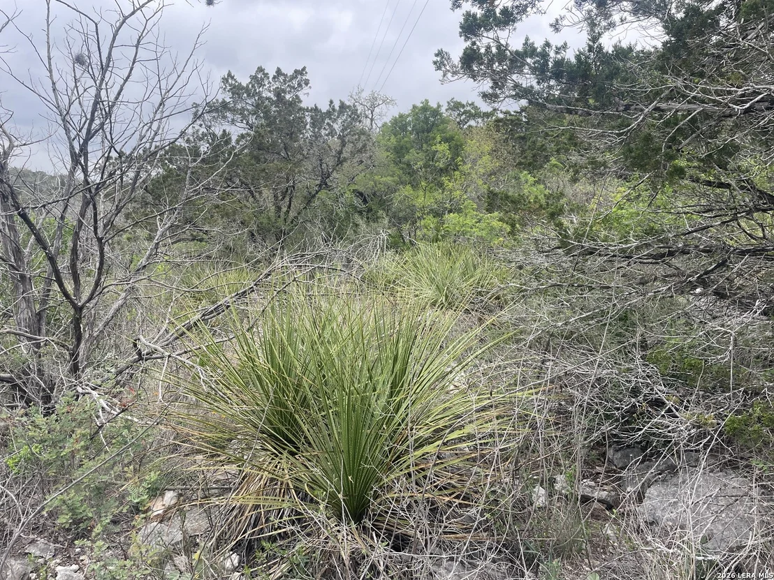 Photo of 899 County Road 243