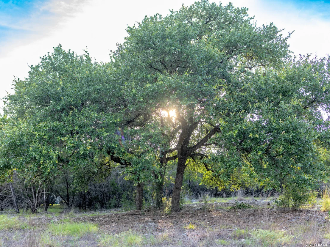 Photo of LOT 12 Monterey Trail