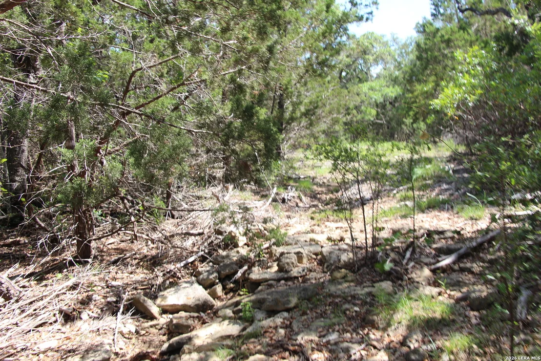 Photo of LOT 52 Clear Water Cyn