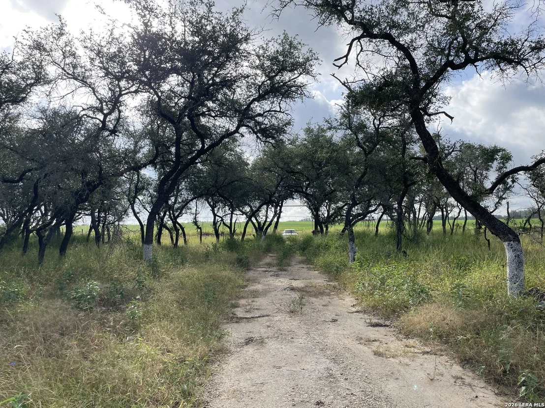 Photo of 1742 County Road 777