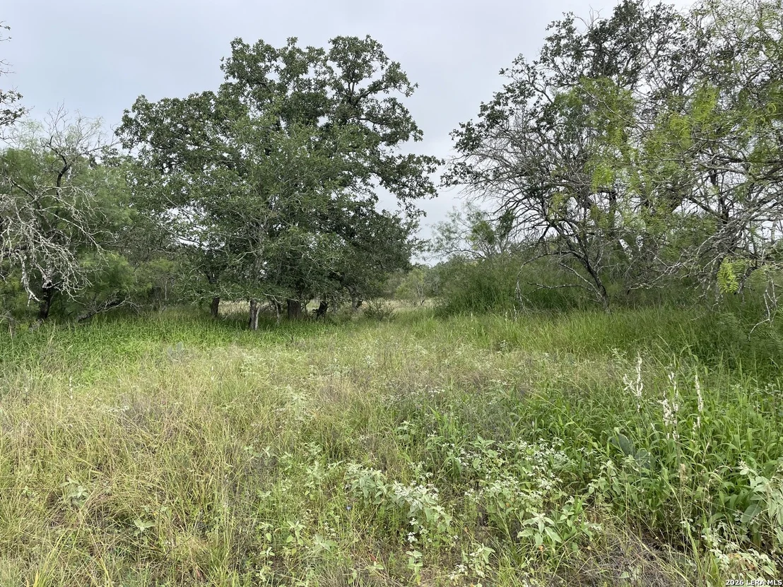 Photo of TRACT#8 12.31A County Road 777