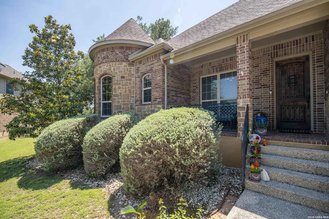 Photo of 25603 Santolina