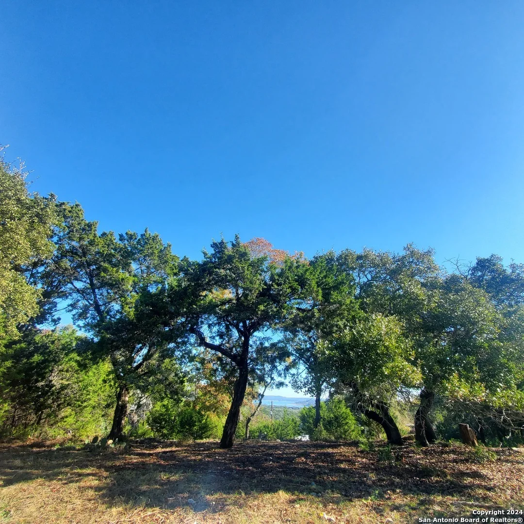 Photo of 152 mountainview