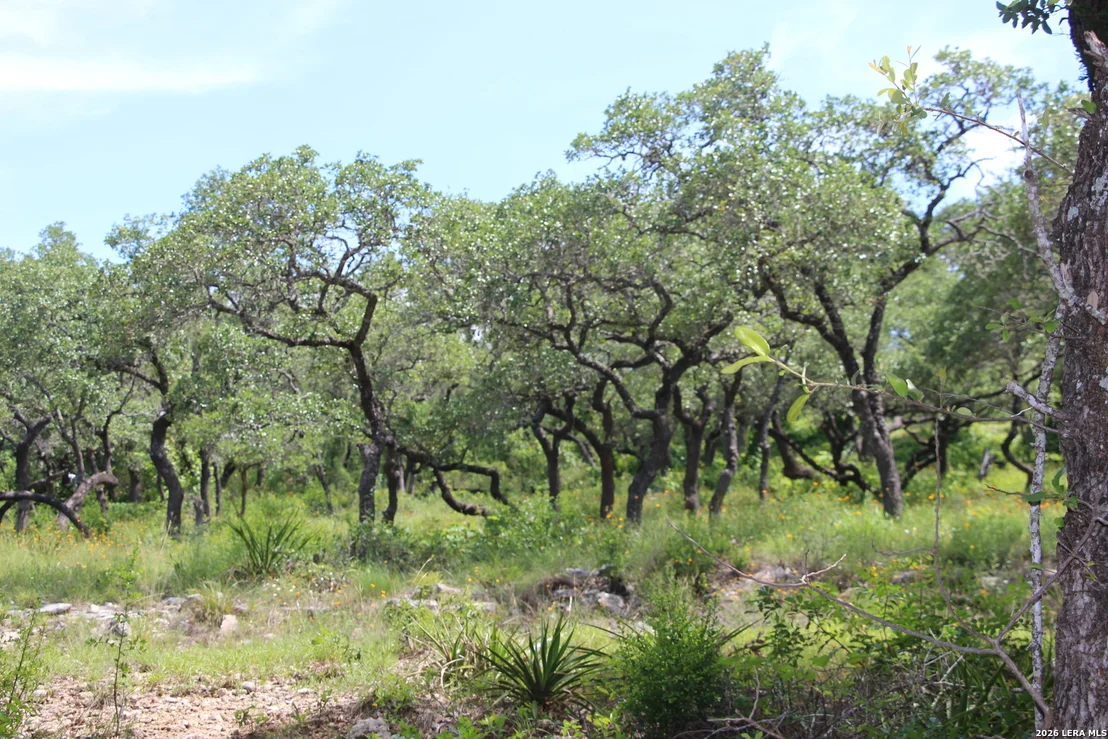 Photo of LOT 52 Clear Water Cyn