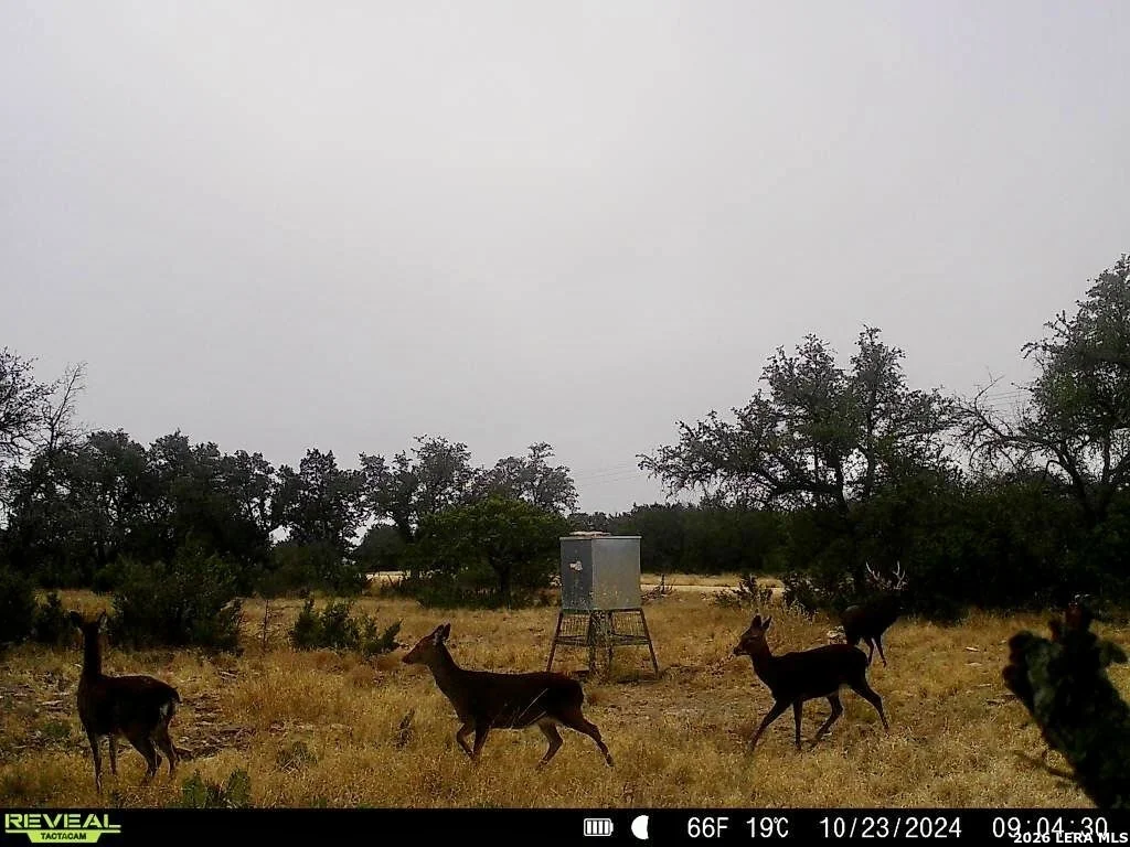 Photo of 07 E Bison Way