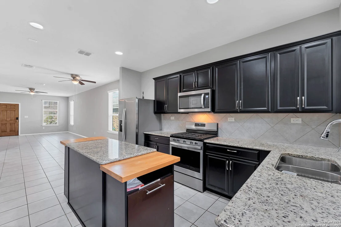 Photo of 1442 POLYDORA