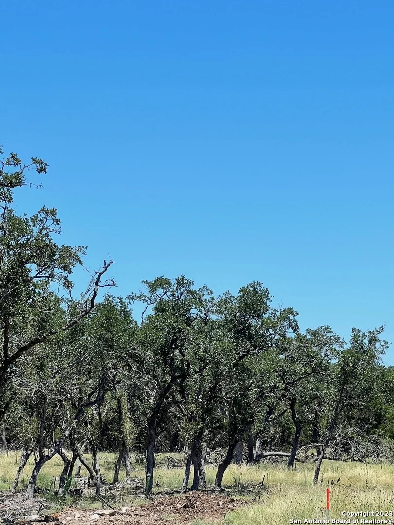 Photo of 463 Ranch Pass