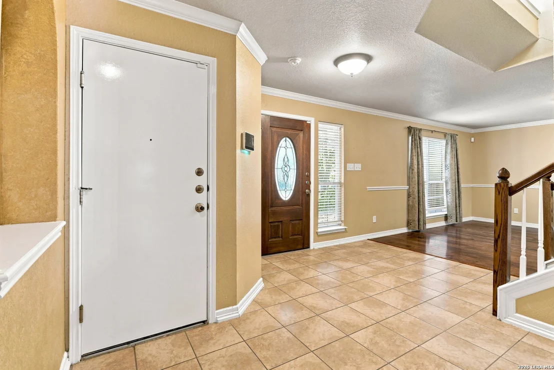 Photo of 11614 Huisache Daisy