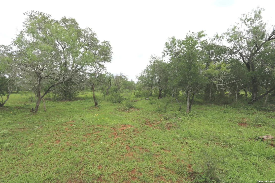Photo of 2257 County Road 475