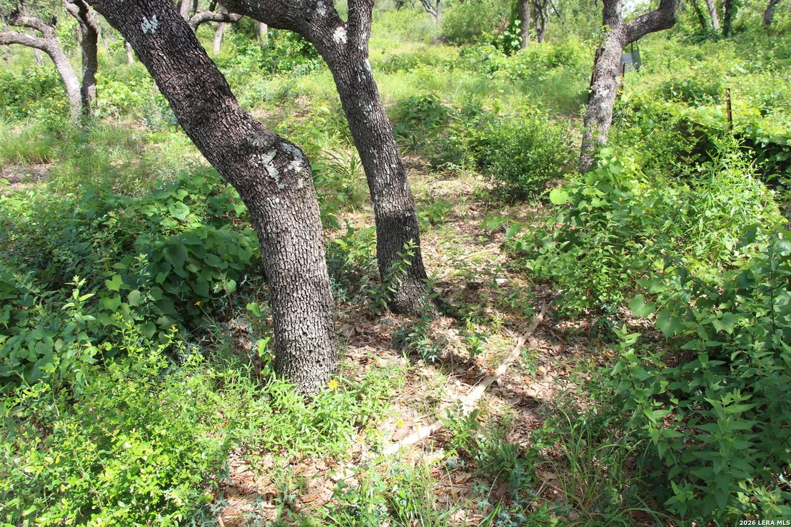 Photo of LOT 52 Clear Water Cyn
