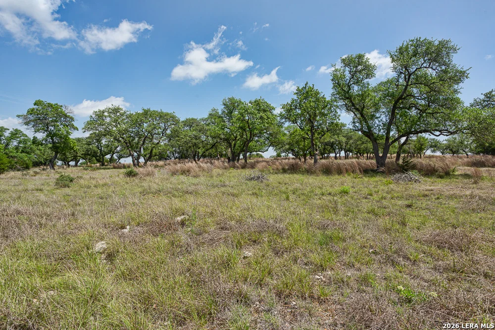 Photo of 127 EL NOPAL