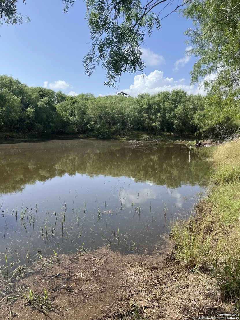 Photo of 707 deer trail