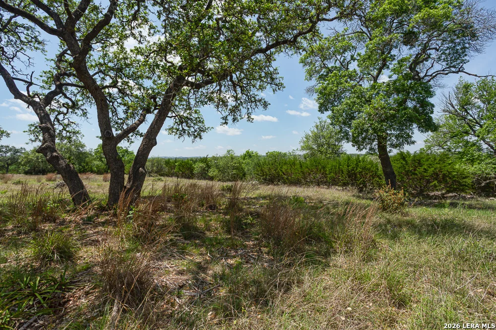 Photo of 127 EL NOPAL